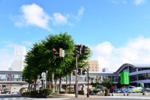 秋田県で落とし物をした場合の対処法