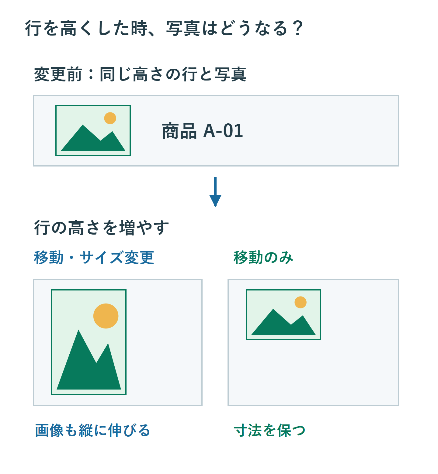 同じ行の高さを増やした例で、セルに合わせて大きくなる画像と元の寸法を保つ画像を比較